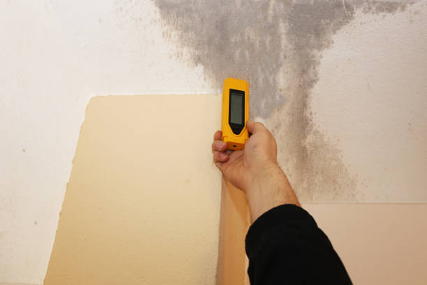 Best Commercial Mold Inspection  in Underwood, IA