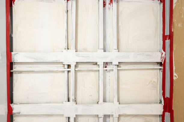 Best Attic Mold Removal  in Underwood, IA