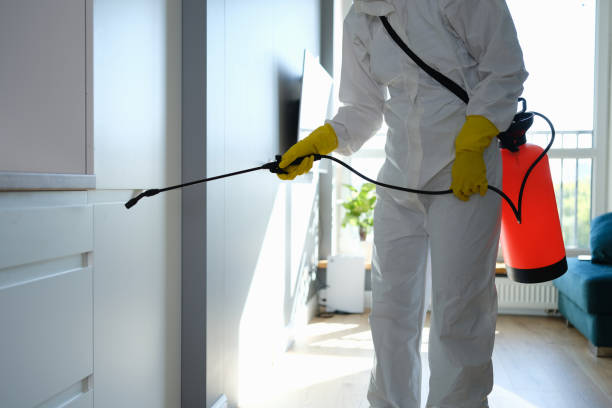 Best HVAC Mold Inspection and Cleaning  in Underwood, IA