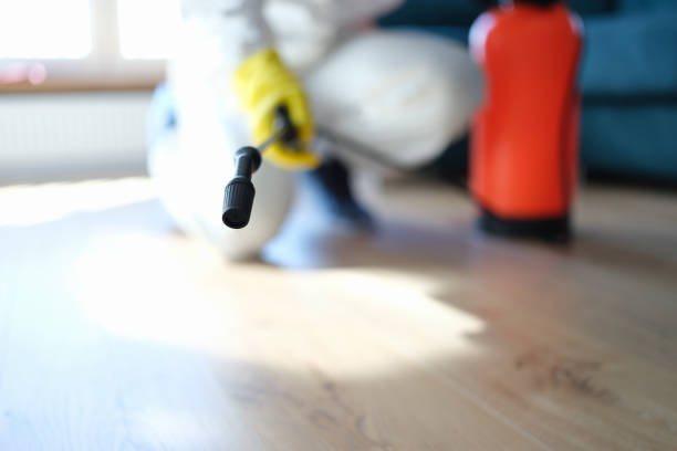 Professional Mold Removal in Underwood, IA