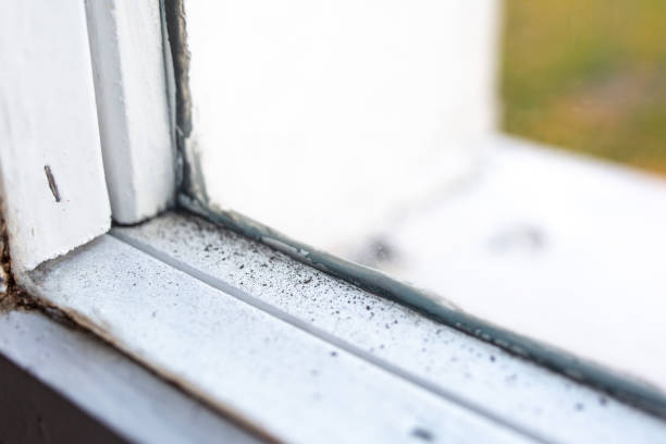 Best Mold-Related Health Consultation  in Underwood, IA