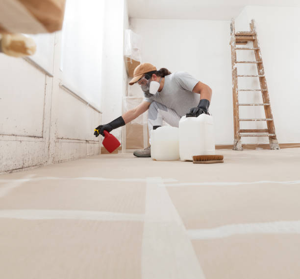 Best Indoor Air Quality Assessment  in Underwood, IA