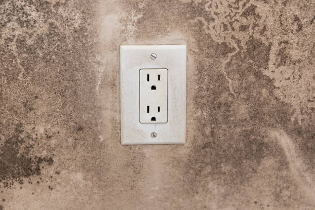 Best Mold Remediation for Healthcare Facilities  in Underwood, IA