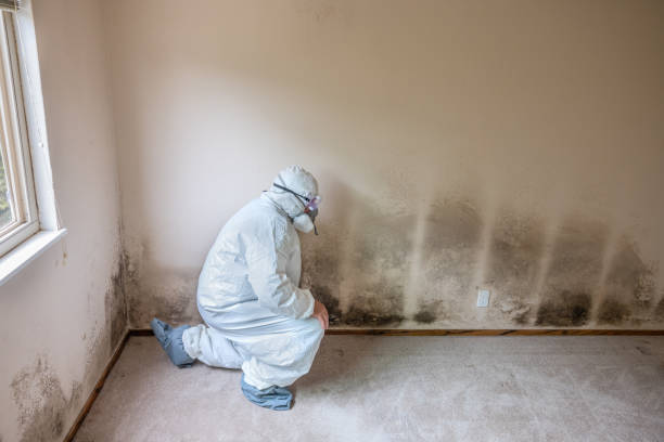 Best Comprehensive Air Testing for Mold Contaminants  in Underwood, IA