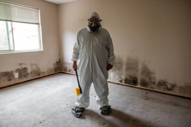 Best Dehumidification Services  in Underwood, IA